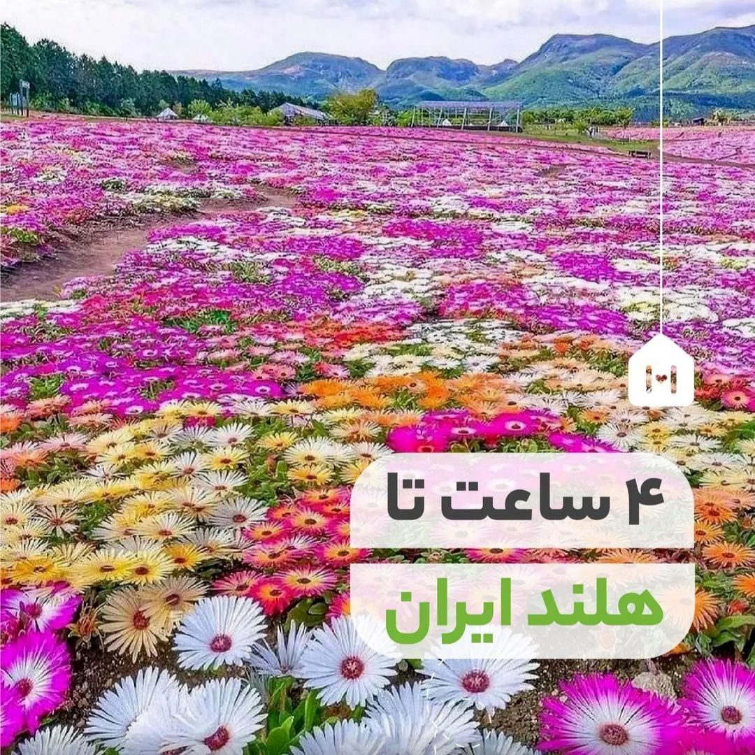 هلند ایران کجا است ؟ 