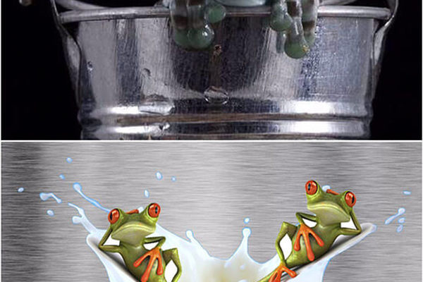 ترکیب شیر و قورباغه | روش نگهداری عجیب شیر در روسیه