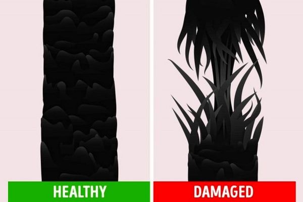 از کجا بفهمم موهای سالمی دارم یا نه؟ | ۴ آزمایش ساده برای شناسایی سلامت مو سر