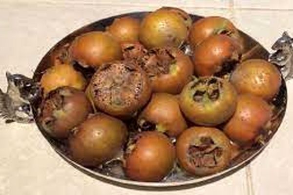 حافظتو با این میوه تقویت کن | فواید ازگیل که تا بحال نمیدانستید 