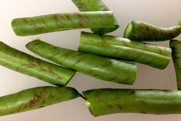 باید یا نباید مصرف لوبیا سبز دارای لکه‌های قهوه‌ای