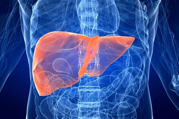 بیماری کبد چرب زنان را بیشتر از مردان میکشد | عوارض بیماری کبد چرب برای زنان