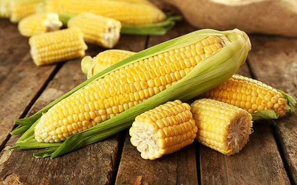 خواص بیشمار ذرت که از آن ها غافلید!