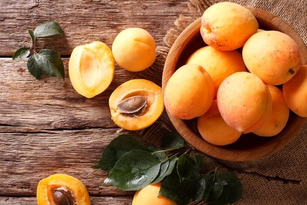 هسته زرد آلو رو به هیچ وجه نخور! | ضررهای خوردن هسته زرد آلو که نمی‌دانید