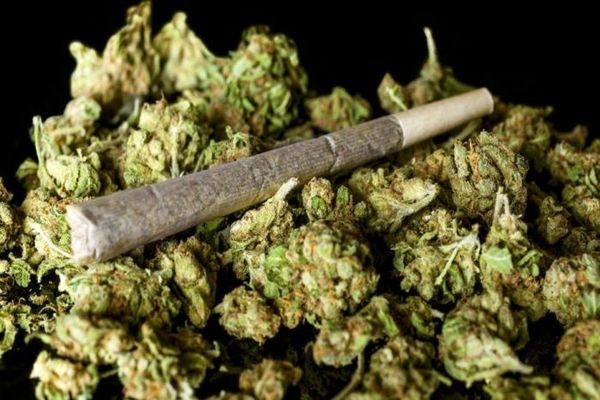 گل نکش حتی یبار !  | عوارض مصرف کشیدن گل یا ماری جوانا