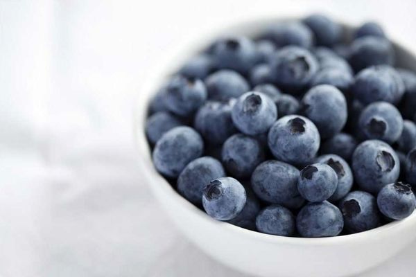 معجزه بلوبری برای زخم دیابتی