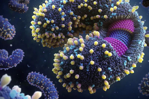 کشف هزاران ویروس جدید در اقیانوس ها!