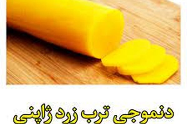 طرز تهیه ترشی ترب زرد | یک ترشی کره ای متفاوت درست کن 