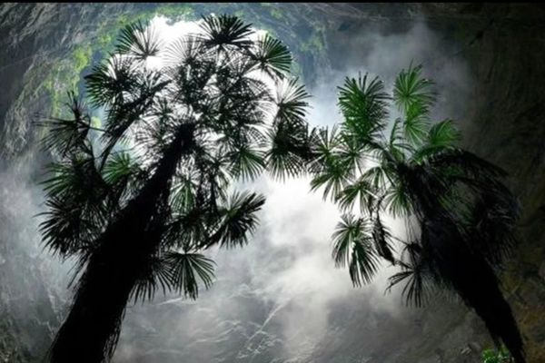 کشف جدید و حیرت آور چینی ها | فروچاله عظیم که درونش جنگل دارد! + تصویر