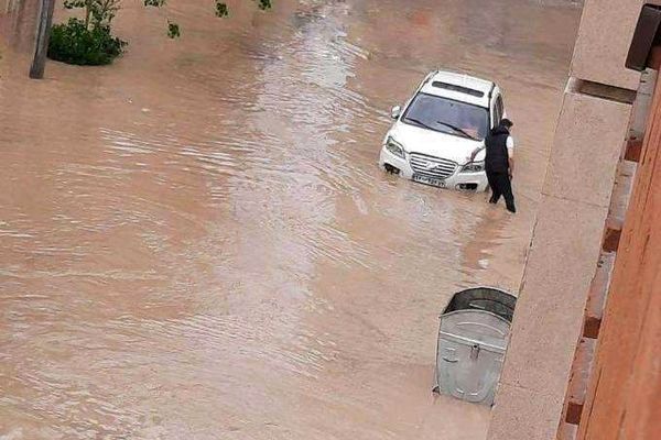 حرم امام رضا (ع) را آب برد | سوراخ شدن سقف دارالقران حرم | نجات کبوتران توسط مردم+ویدئو 