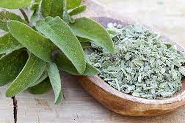 فواید عجیب مریم گلی برای روح | اگه میخوای انرژی منفی و دفع کنی دمنوش این گیاه ک بخور