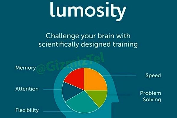 با نصب این اپلیکیشن از مبتلا شدن به آلزایمر جلوگیری کن | روش های مدرن تقویت حافظه