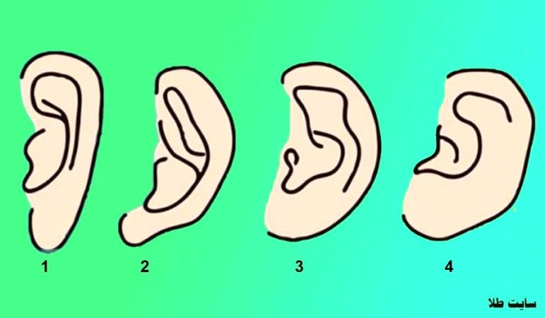 شکل گوش هایتان را پیدا کنید و بیشتر در مورد خودتان بدانید