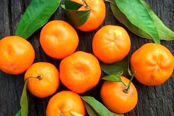 دیگه پوست نارنگی را دور نندازید | ترفند درست کردن لکه بر قوی با پوست نارنگی 