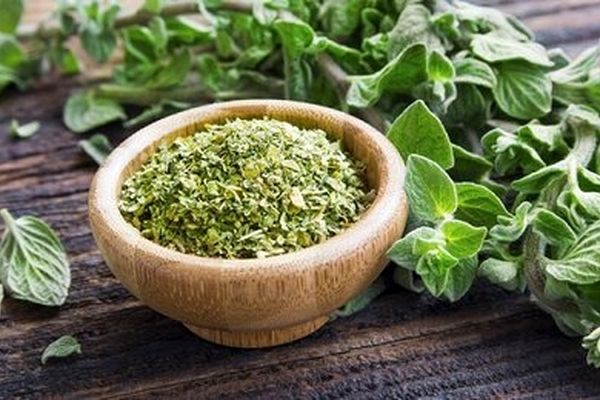 ورم معده و روده را با این‌گیاه خوشمزه از بین ببرید 