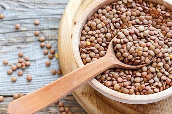 با عدس رشد گیاهان را انفجاری کنید | ترفند شادابی گیاهان با عدس