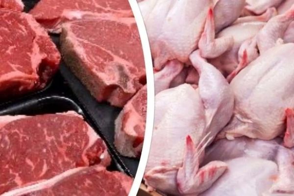 جدیدترین قیمت مرغ | آخرین قیمت مرغ در بازار 