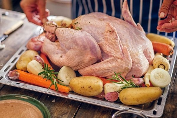 خواص فوق‌العاده گوشت بوقلمون! | این گوشت ۴ برابر میگو فسفر دارد!