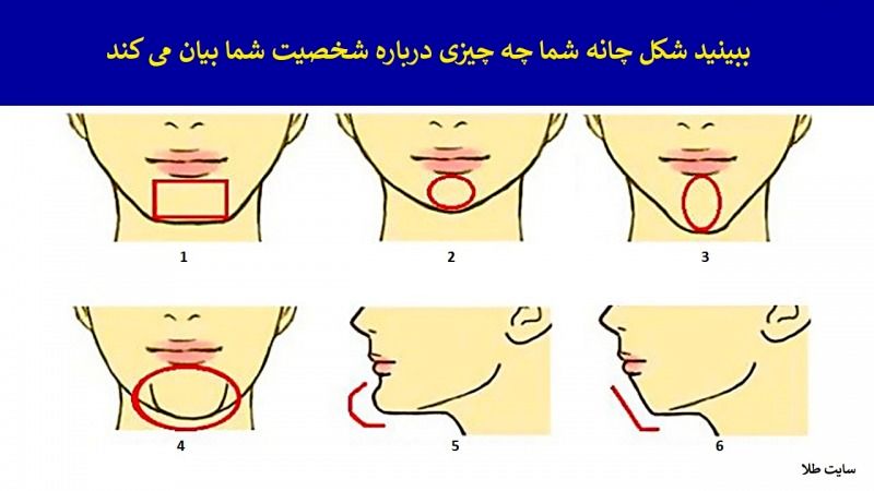 ببینید شکل چانه شما چه چیزی درباره شخصیت شما بیان می کند