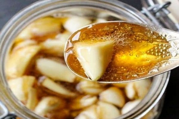 با سیر و عسل سلامتی خودتو بیمه کن! | خواص و فواید فوق العاده سیر و عسل + طرز تهیه