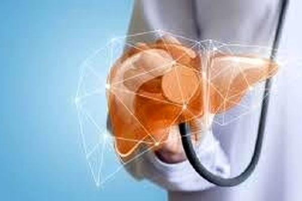 با این ۵ گیاه به راحتی کبد خود را پاکسازی کنید | روش های پاکسازی کبد 