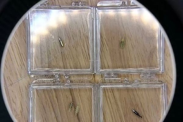 ساخت ربات‌های پزشکی برای ارسال به اعماق مغز