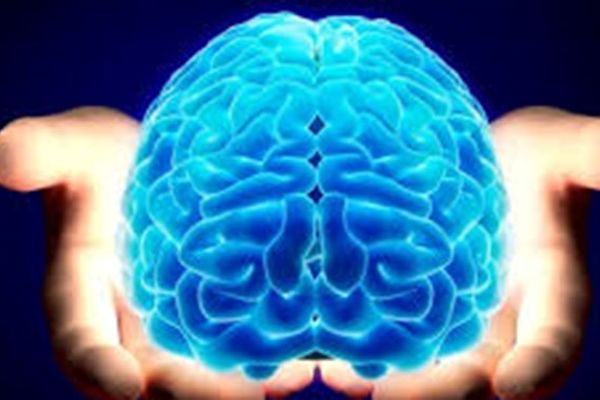 مدلسازی مغز در مراحل مختلف خواب از سوی محققان ایرانی