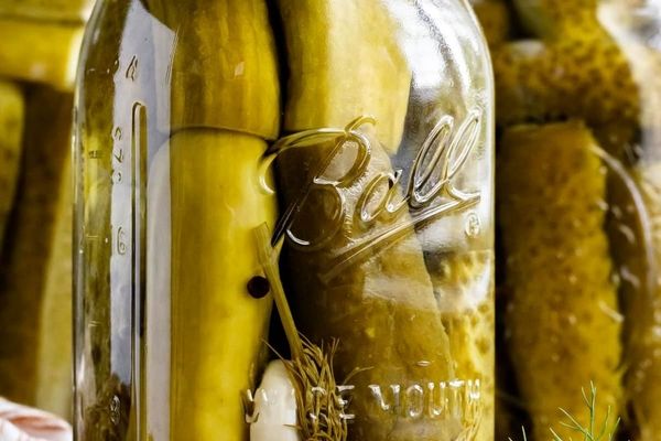 خیار شور را ۱۲ ساعته درست کنید | با این روش خیار شور بیرونی نخر 