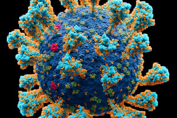 چگونه ویروس دنیاگیر بعدی را پیش از ظهور پیدا کنیم؟