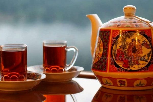 با این ترفند متوجه شو چای اصل خریدی یا تقلبی | هچیکس متوجه نمیشه از کجا فهمیدی!