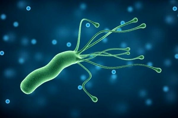 صدای ریزترین موجود زنده جهان را بشنوید