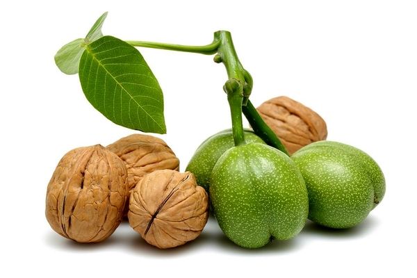 مردان گردو بخورند | تاثیرات عجیب گردو بر مردان