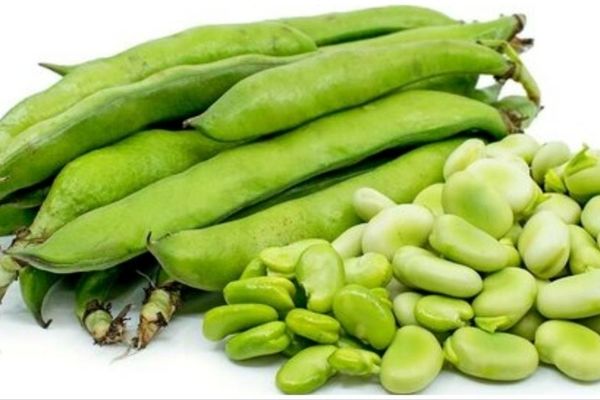 لیزر طبیعی موهای زائد با باقالی | دیگه هزینه لیزر نکن، با باقالی کل موهای بدنت رو از بین ببر+ویدئو 