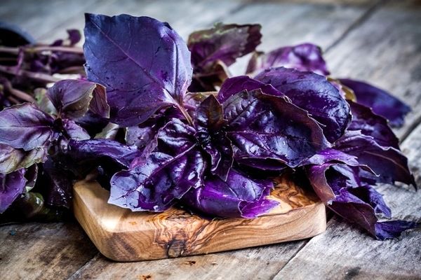  بهترین راه درمان تنگی نفس | درمان تنگی نفس در خونه