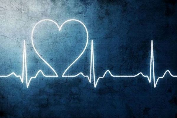 درمان تپش قلب به روش خانگی | در خانه تپش قلب خود را منظم کنید 