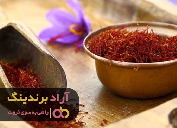 با ایده ها و راهکارهای من در کسب ثروت آشنا شوید