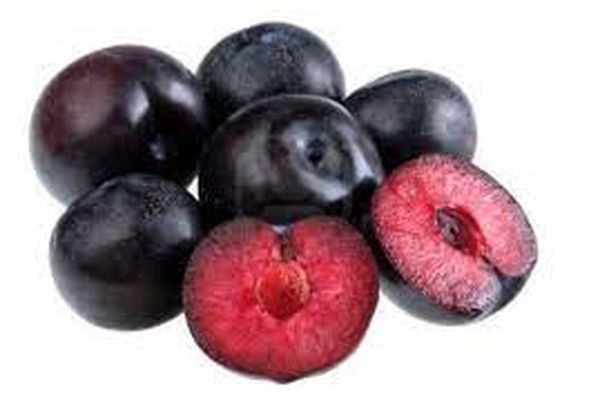 فقر آهنتو با این میوه تابستونی برطرف کن | فواید عجیب آلو این میوه تابستانی