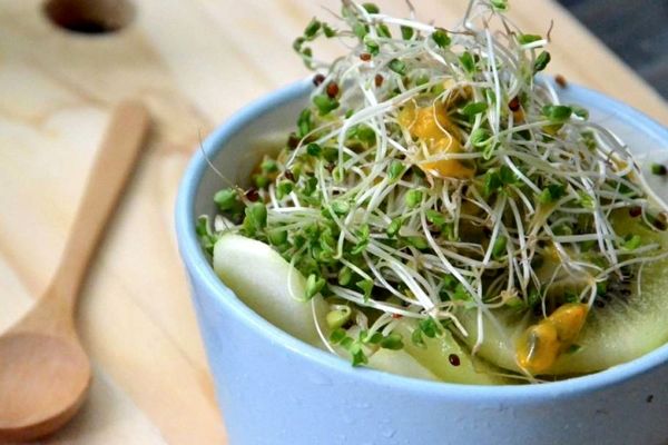 برای کاهش عوارض آلودگی جوانه بروکلی بخورید | فواید جوانه بروکلی 