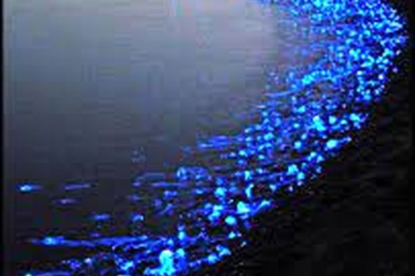 با دیدن این پدیده ها شگفت زده میشوید | عجیب ترین پدیدهای طبیعی