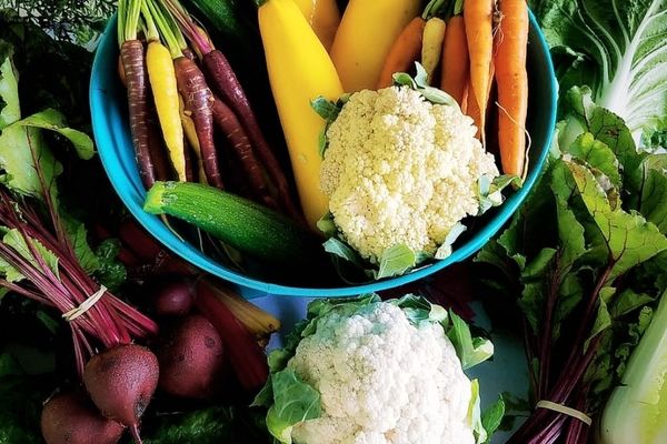 آموزش ۱۰ شام رژیمی خوشمزه | با این لیست دیگر نگران اضافه وزن خود نباشید