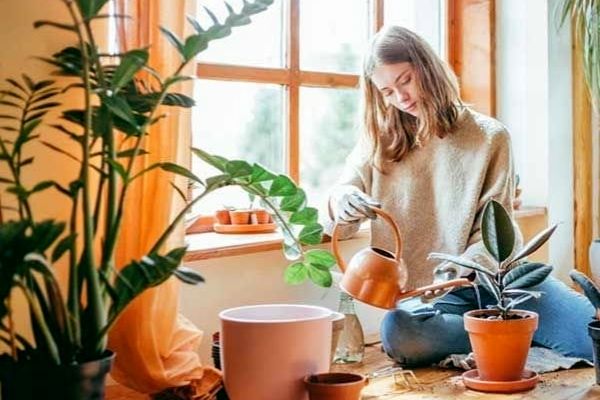 اگه با این روش خاک گلدان و عوض کنی به گلت آسیب نمیرسه | ترفند عوض کردن خاک گلدان