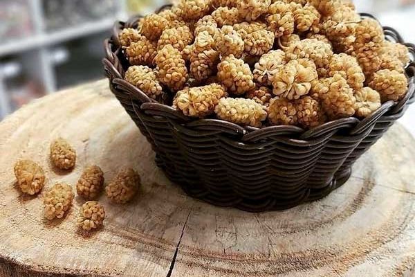 ترفندهای خشک کردن توت سفید  در منزل