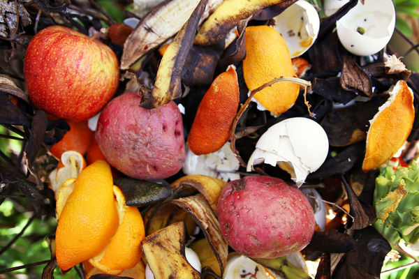 پوست میوه ها را کود کنید دیگر دور نریزید | کود میوه منبع شادابی گیاهان