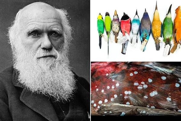 تایید نظریه داروین پس از ۲ قرن