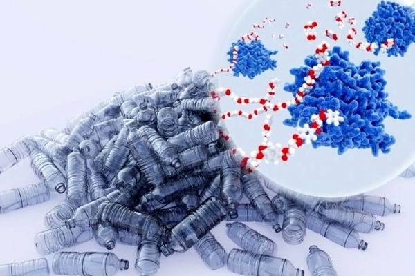 باکتری‌های پلاستیک‌خوار مهندسی ژنتیک و اثرات زیست‌محیطی