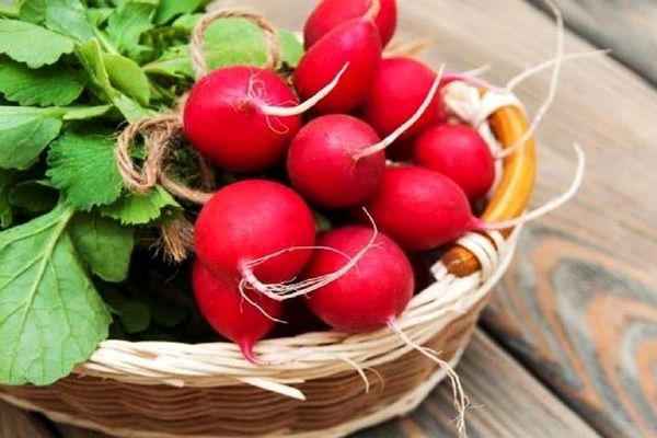 تربچه چه خاصیت‌هایی دارد؟ | با خواص فوق العاده تربچه آشنا شوید!