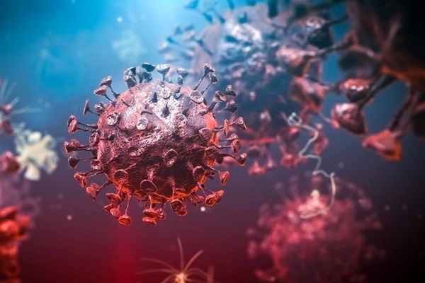 کشف گونه جدیدتری از سویه اومیکرون در آمریکا