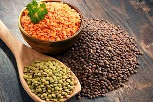 این دانه برای درمان آب مروارید معجزه میکند | خواص بیشمار عدس 