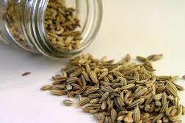 خانم ها حتما رازیانه بخورند | خواص خوردن رازیانه برای زنان