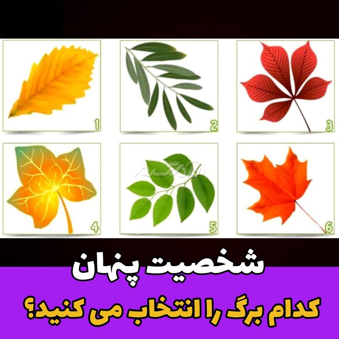 با انتخاب یک برگ رنگی جنبه های پنهان شخصیت خود را کشف کنید!